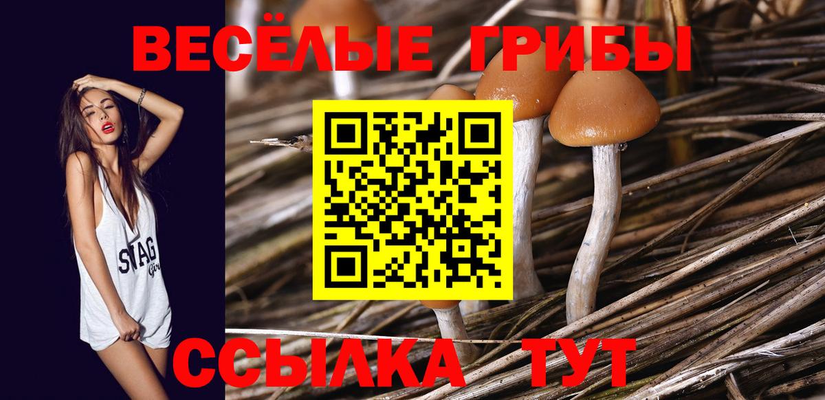 Галлюциногенные грибы Psilocybine cubensis  закладки  Галлюциногенные грибы Magic Shrooms  Уварово  Вход с VPN 